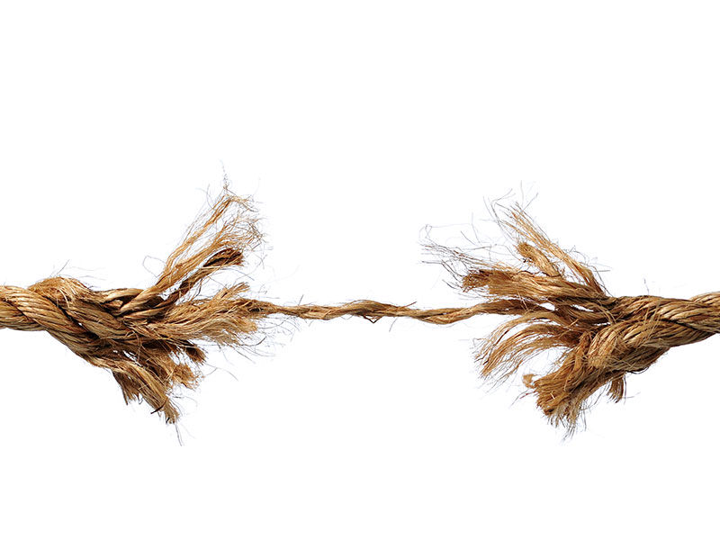 stress shrinks brain